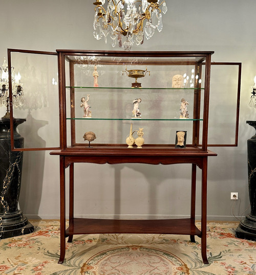 Rare Vitrine d'Exposition Musée Collectionneur En Acajou Epoque Art Nouveau Vers 1890