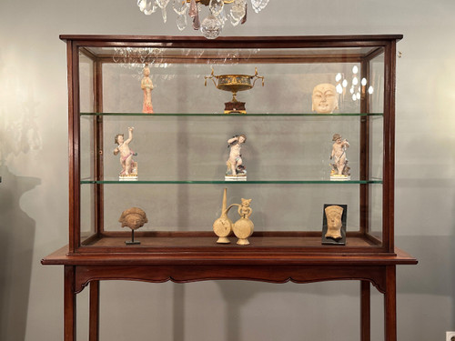 Rare Vitrine d'Exposition Musée Collectionneur En Acajou Epoque Art Nouveau Vers 1890