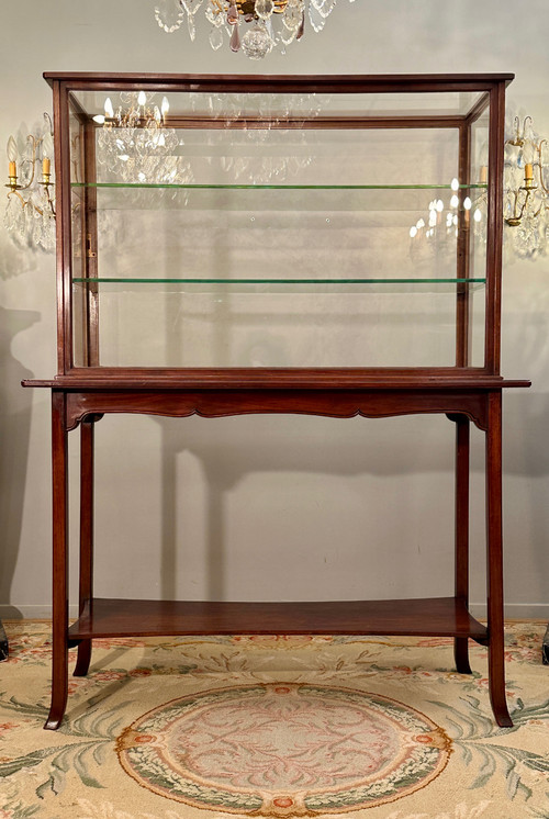 Rare Vitrine d'Exposition Musée Collectionneur En Acajou Epoque Art Nouveau Vers 1890