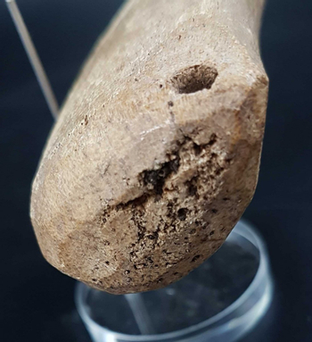 Poids à lester les filets - Inuit
