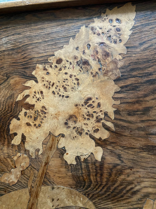Marquetry tray signed "Gallé".