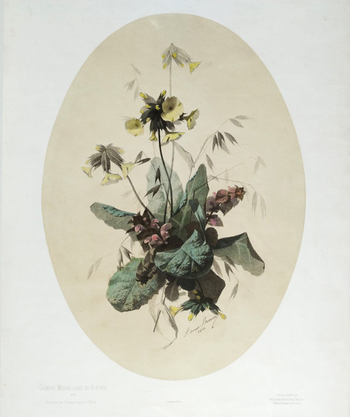 Nature Morte Fleurs De Champs Lithographie Botanique Aquarellée Par Xavier Bronner