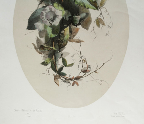 Stillleben mit Cobea-Blumen von Xavier Bronner, aquarellierte botanische Lithographie, 19. Jahrhundert