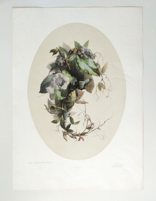 Stillleben mit Cobea-Blumen von Xavier Bronner, aquarellierte botanische Lithographie, 19. Jahrhundert
