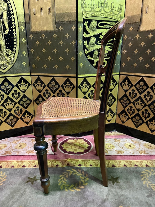 Suite mit 4 Rattanstühlen Napoleon III