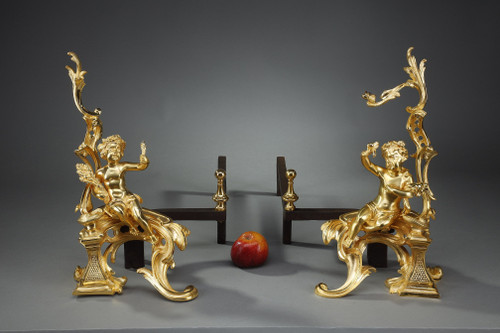 Coppia di alari in bronzo dorato, stile Luigi XV