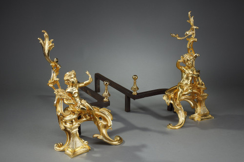 Coppia di alari in bronzo dorato, stile Luigi XV