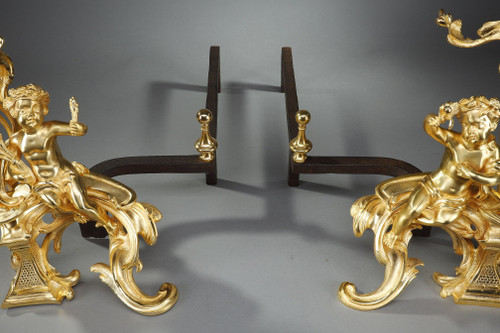 Coppia di alari in bronzo dorato, stile Luigi XV