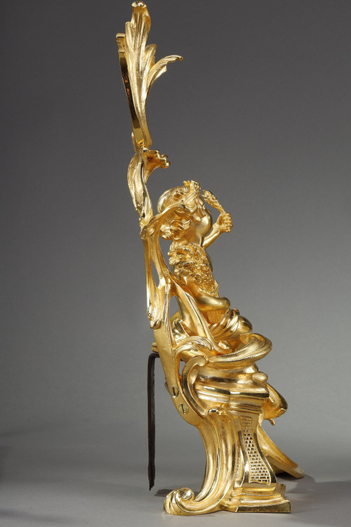 Coppia di alari in bronzo dorato, stile Luigi XV