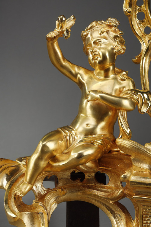 Coppia di alari in bronzo dorato, stile Luigi XV