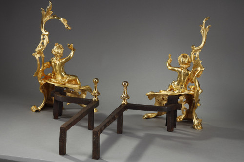 Coppia di alari in bronzo dorato, stile Luigi XV
