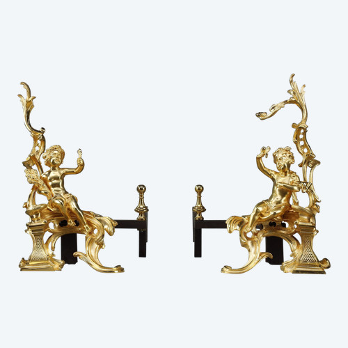 Coppia di alari in bronzo dorato, stile Luigi XV