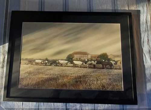 Art photography return from ploughing/XXth century