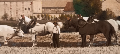 Art photography return from ploughing/XXth century