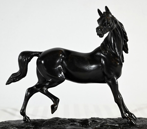 Cavallo Regula su base di legno - Inizio XX secolo