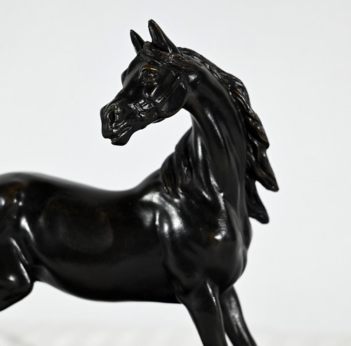 Cavallo Regula su base di legno - Inizio XX secolo