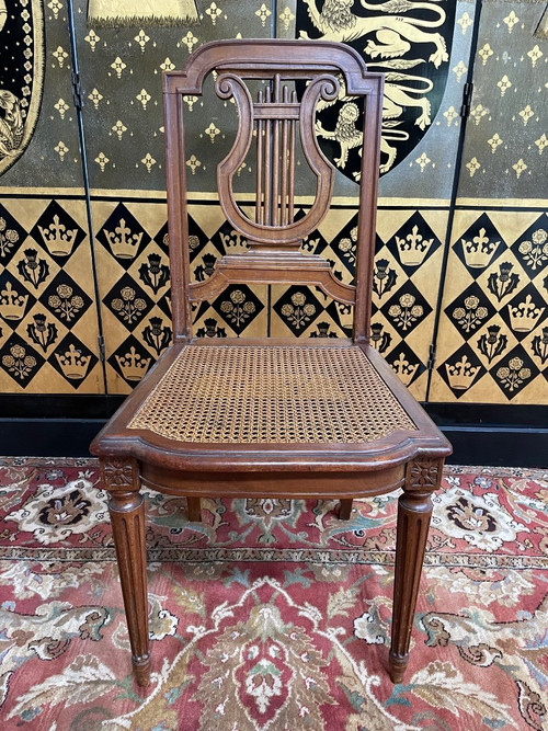 Suite De 8 Chaises De Style Louis XVI « lyre » en cannage