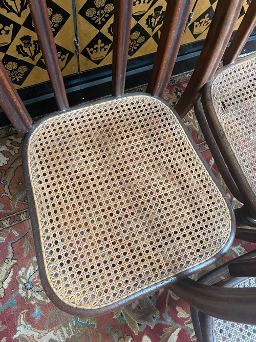 Suite Of 5 Thonet Cane Chairs