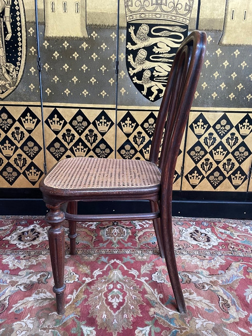 Suite Of 5 Thonet Cane Chairs