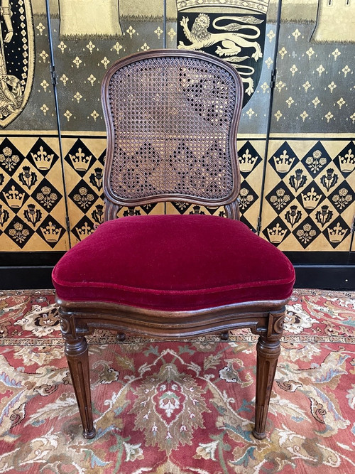 Suite Of 6 Louis XVI Style Cane Chairs