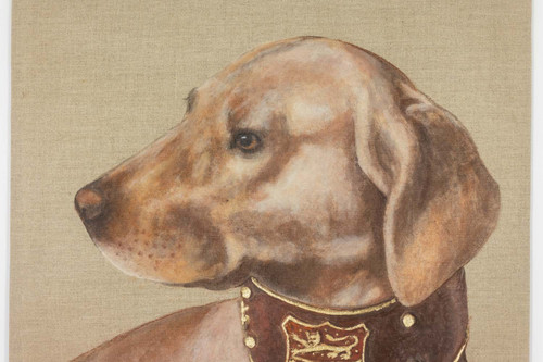 Tela dipinta raffigurante un cane. Opera contemporanea