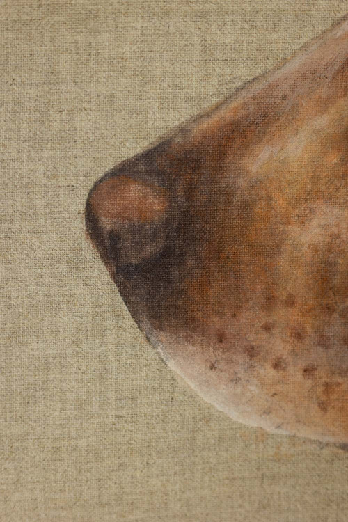 Tela dipinta raffigurante un cane. Opera contemporanea