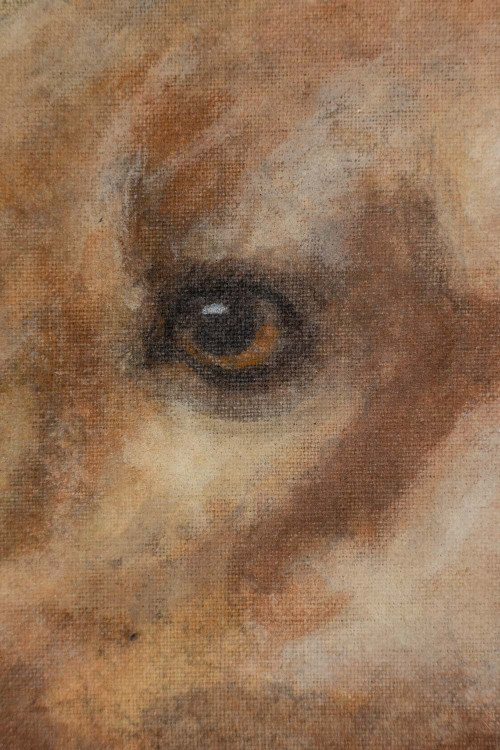 Tela dipinta raffigurante un cane. Opera contemporanea