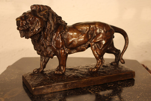 Bronzo del Leone di H-Gaby