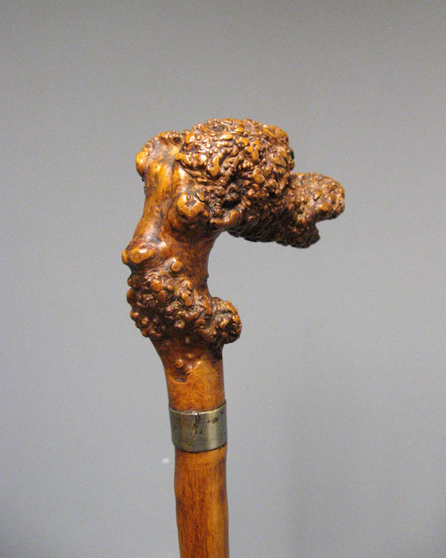 Canne En Racine Sculpté. Canne Art Populaire à Tête De Monstre.