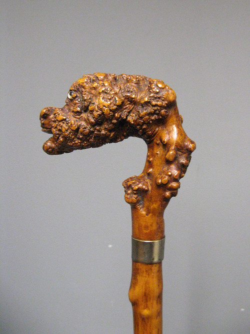 Canne En Racine Sculpté. Canne Art Populaire à Tête De Monstre.