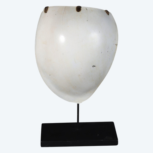 Pektoral Gam aus Melo-Melo-Muschel - Papua-Neuguinea