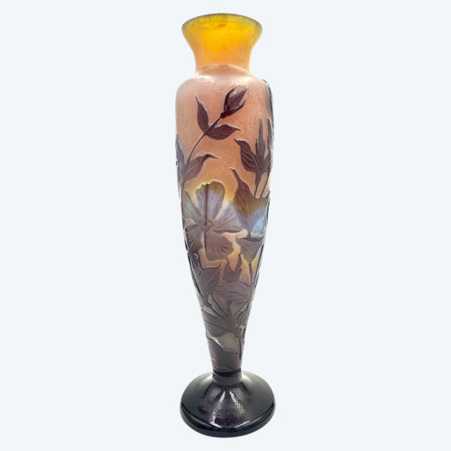 Gallé, Vase Decorated by Cape Dentaires