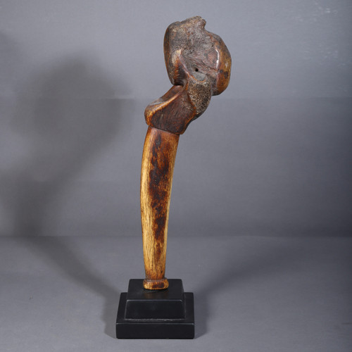 Giraffe vertebra – Dinka, Sudan