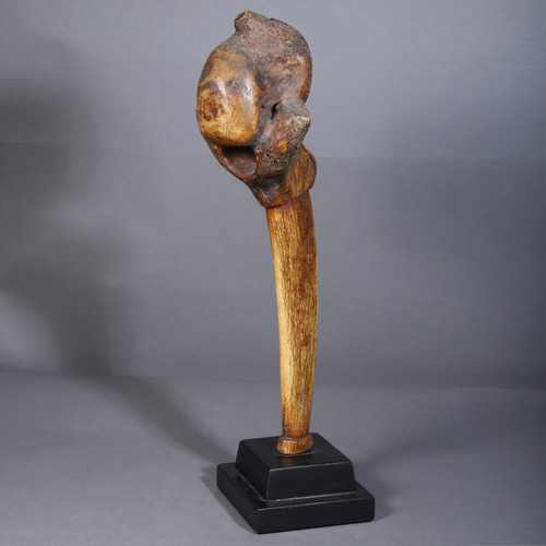 Giraffe vertebra – Dinka, Sudan