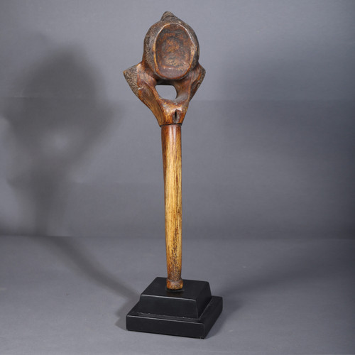 Giraffe vertebra – Dinka, Sudan