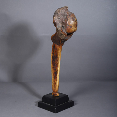 Giraffe vertebra – Dinka, Sudan