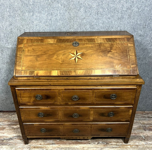 Cassettone scribanne in stile Luigi XVI in radica di noce con decori intarsiati su tutti i lati in legno di pruno, sycom