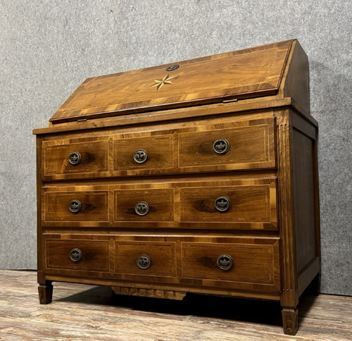 Cassettone scribanne in stile Luigi XVI in radica di noce con decori intarsiati su tutti i lati in legno di pruno, sycom