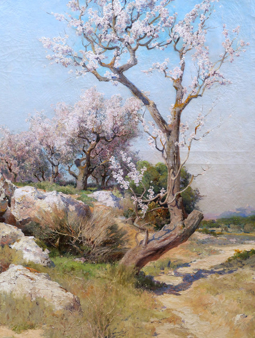 Théophile Henri DÉCANIS, Amandiers en fleurs, Provence