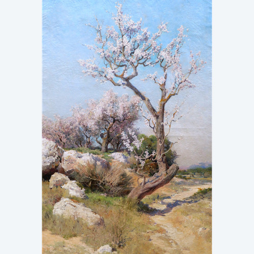 Théophile Henri DÉCANIS, Amandiers en fleurs, Provence