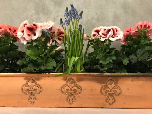 Hübsche Fischdose , Blumenkasten aus Kupfer aus dem späten 18.
