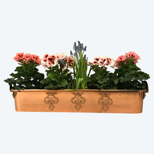 Hübsche Fischdose , Blumenkasten aus Kupfer aus dem späten 18.