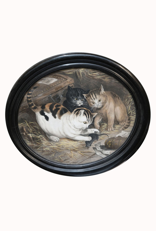 Playing kittens, pair of chromos N III