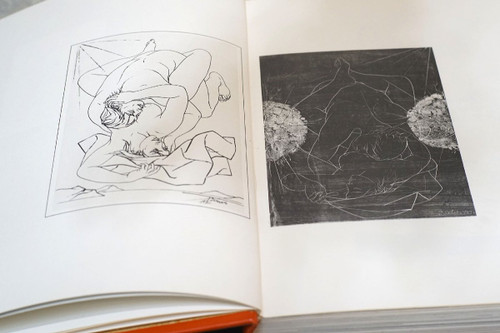 IL LIBRO DELL'EROS