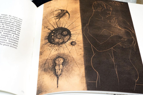 IL LIBRO DELL'EROS