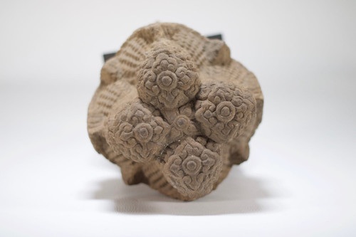 Testa di Brahma in arenaria, stile Khmer.