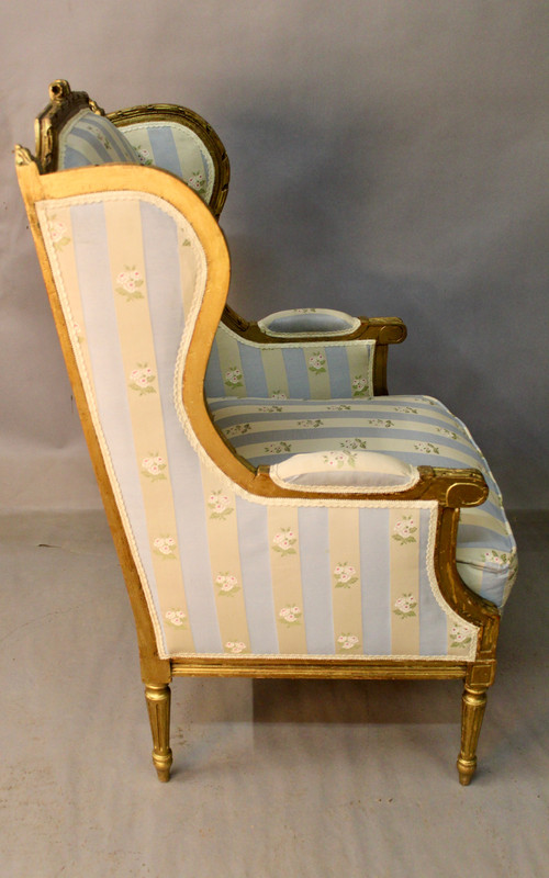 Louis XVI Style Winged Bergère In Golden Wood