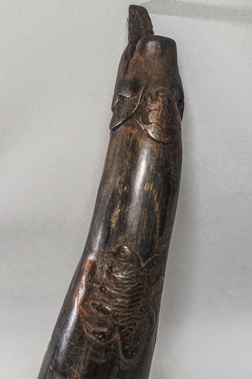 CORNE DE RITUEL BOUDHISTE, Tibet Thungra 
