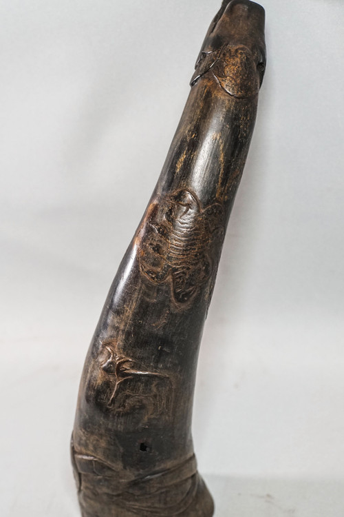 CORNE DE RITUEL BOUDHISTE, Tibet Thungra 