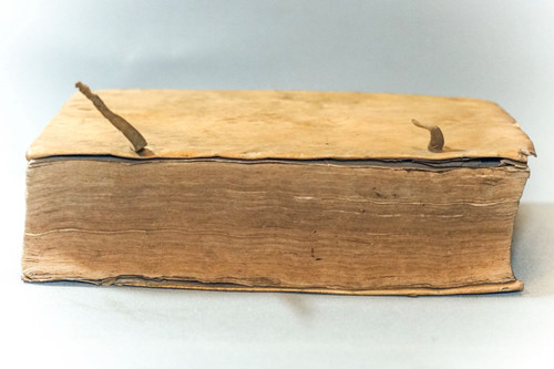 De FEBRIBUS Libri IV. Auctore DANIELE SENNERTO - Daniel Sennert - Édition 1633